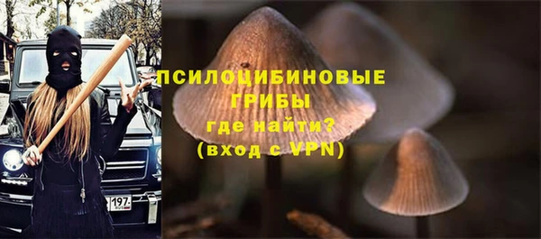 2c-b Надым