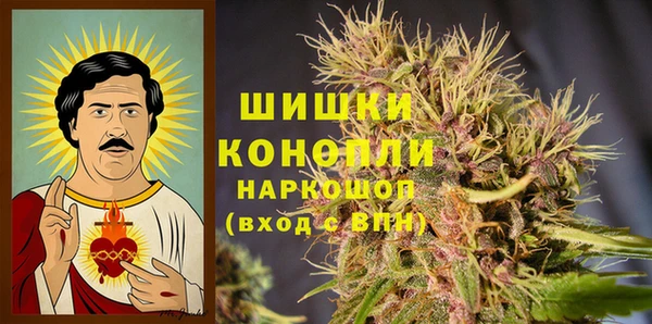 2c-b Надым