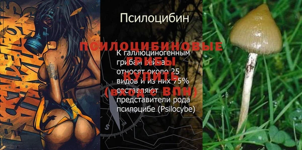 герыч Михайловск