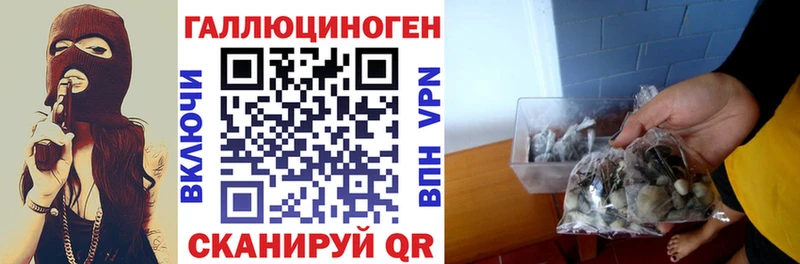 Галлюциногенные грибы прущие грибы  Еманжелинск 
