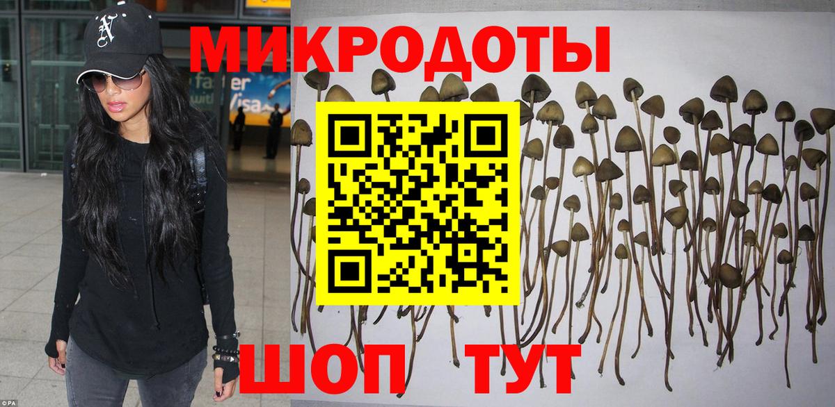 Галлюциногенные грибы Cubensis  цены   Вход с VPN  Еманжелинск  Галлюциногенные грибы GOLDEN TEACHER 