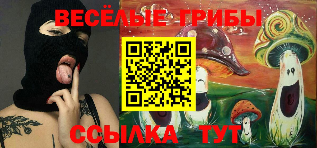 Галлюциногенные грибы Psilocybine cubensis  Еманжелинск 